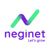 Neginet Logo